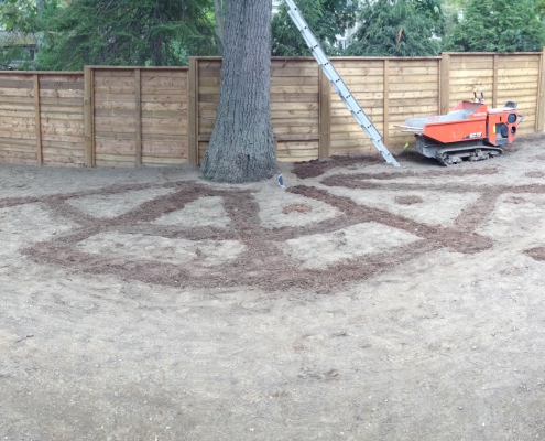 Soil Improvements - Cardinal Tree Care